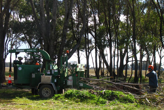 Chipping Services in Wallan