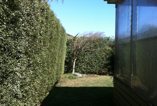 Hedge Maintenance in Wallan