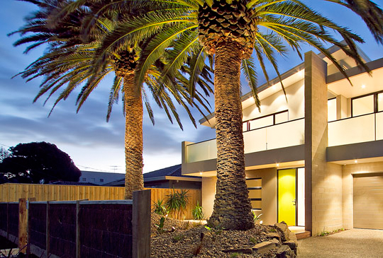 Palm Tree Trimming and Pruning in Wallan