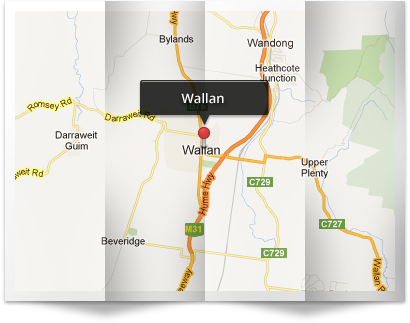 Wallan Tree Removal Company